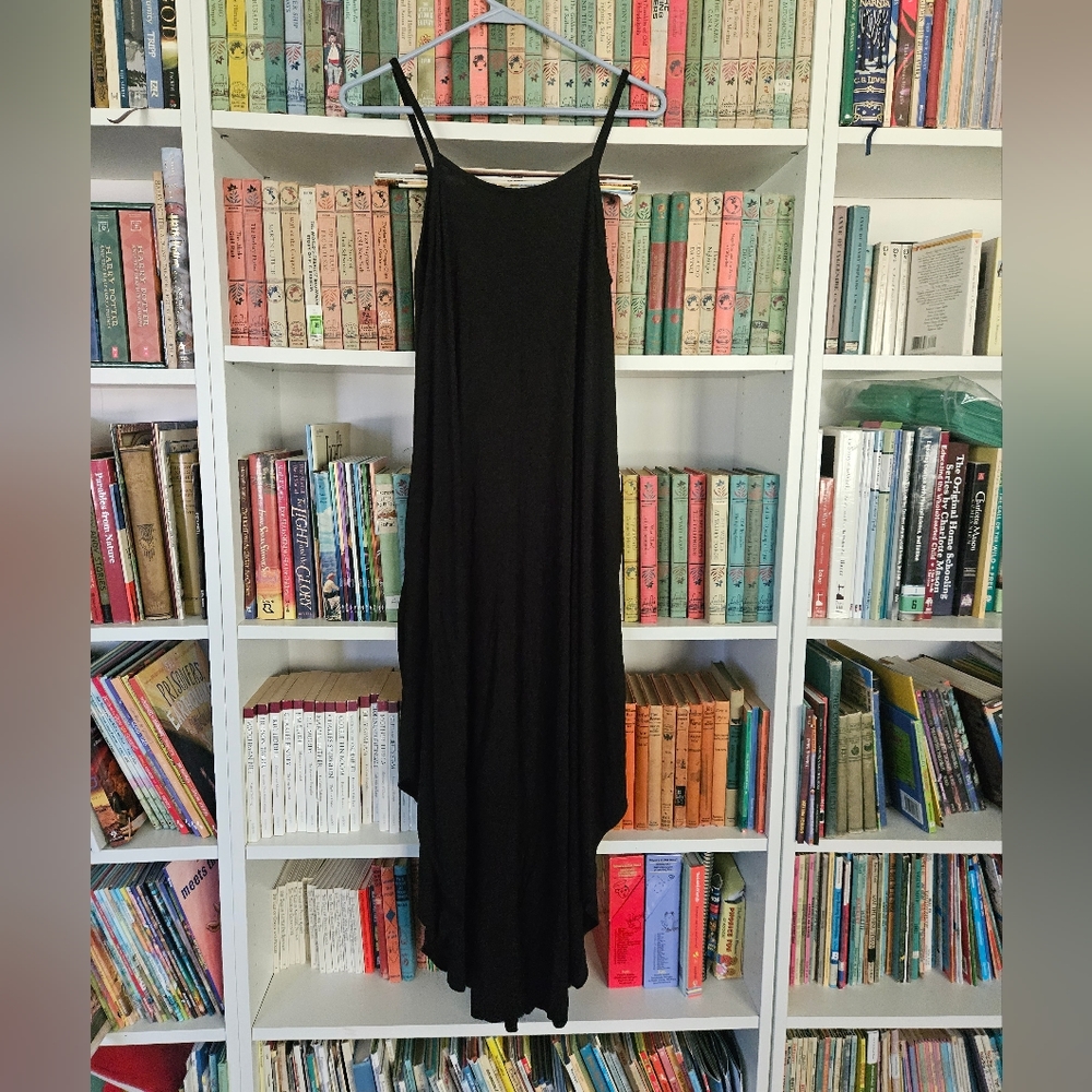 CJLA Carly Jean Los Angeles "Stella" dress
